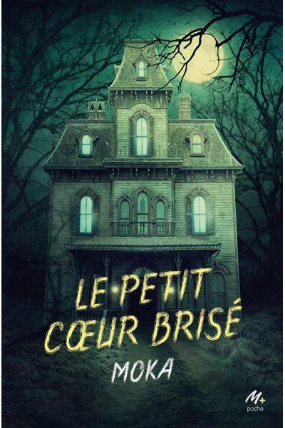 Le petit coeur brisé