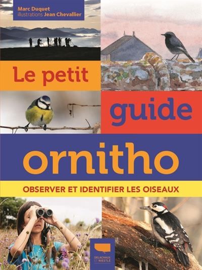 Le Petit guide ornitho Observer et identifier les oiseaux