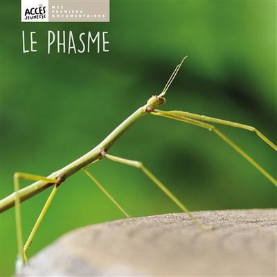 Le phasme