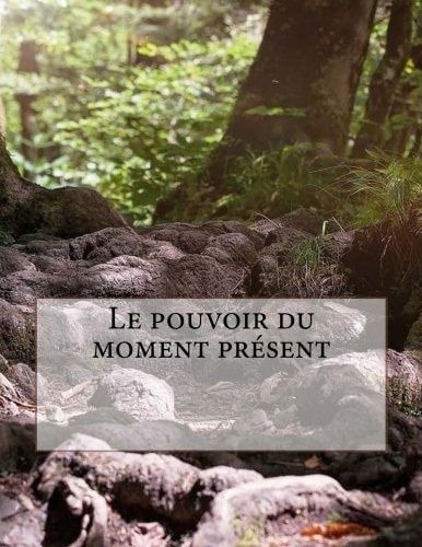 Le Pouvoir du Moment Présent