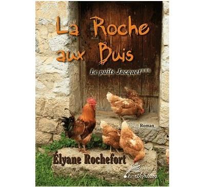 Le puits Jacquet La Roche aux buis