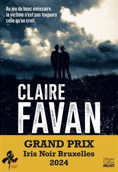 Le Roi du silence Le nouveau thriller de Claire Favan