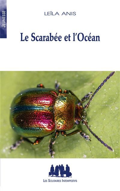 Le scarabée et l'océan 2026