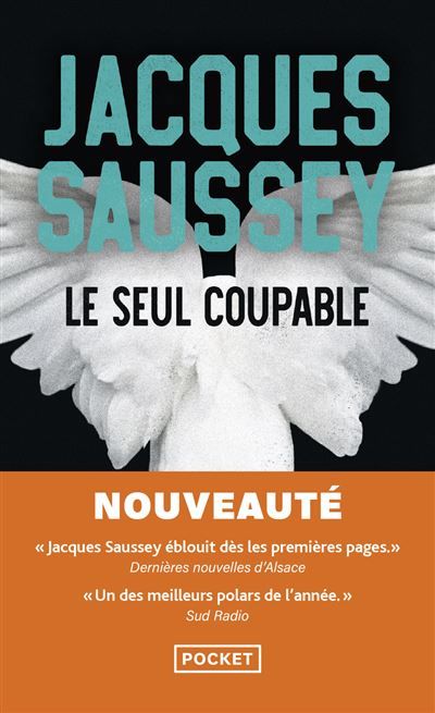 Le seul coupable