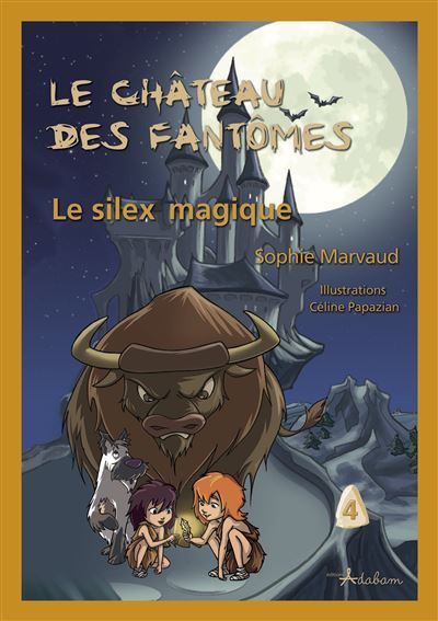 Le silex magique (Édition Adaptée DYS)