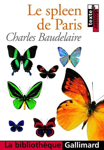 Le spleen de Paris Petits poèmes en prose