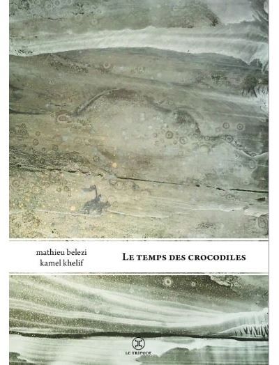 Le Temps des crocodiles