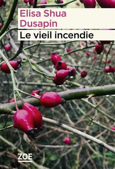 Le vieil incendie Prix Wepler -  Fondation La Poste 2023