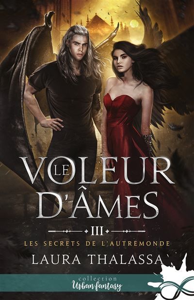 Le voleur d'âmes Les secrets de l'AutreMonde, T3