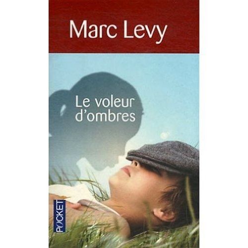 Le Voleur d'ombres (French Edition)