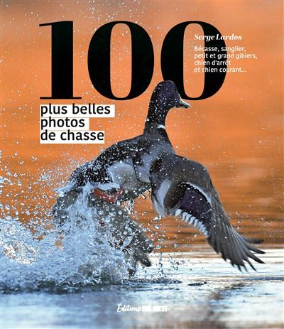 Les 100 plus belles photos de chasse Bécasse, sanglier, petit et grand gibiers, chien d'arrêt et chien courant...