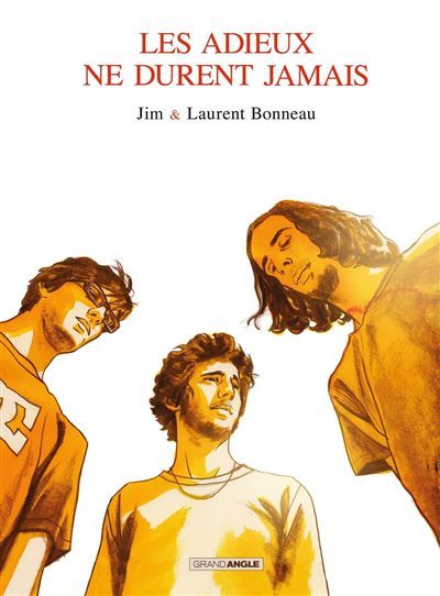 Les Adieux ne durent jamais - histoire complète