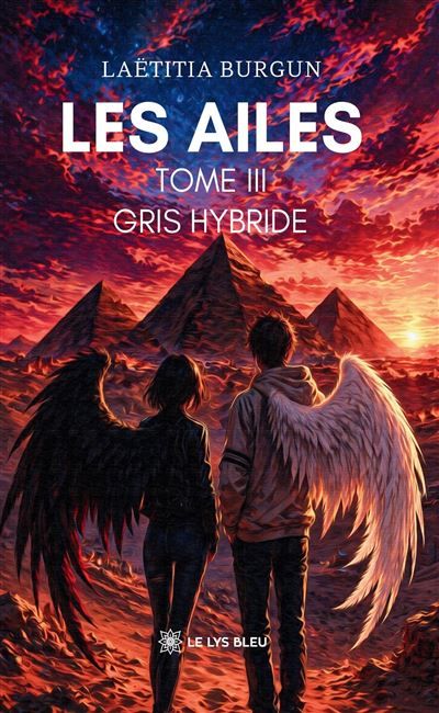 Les ailes Tome III : Gris hybride