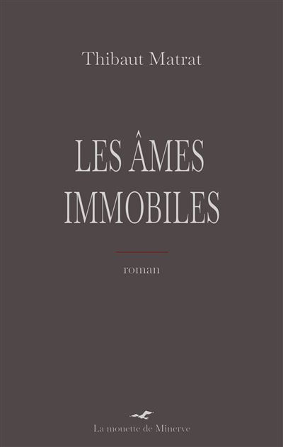 Les Âmes immobiles