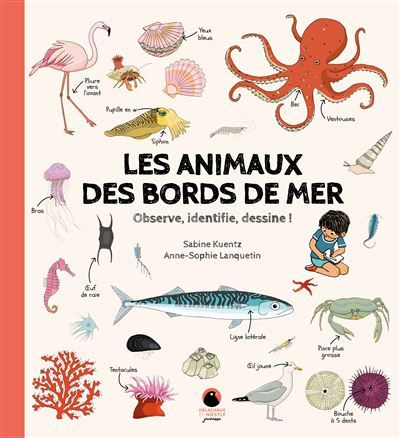 Les Animaux des bords de mer Observe, identifie, dessine ! - Anne-Sophie Lanquetin