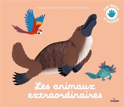 Les animaux extraordinaires - Raphaëlle Michaud