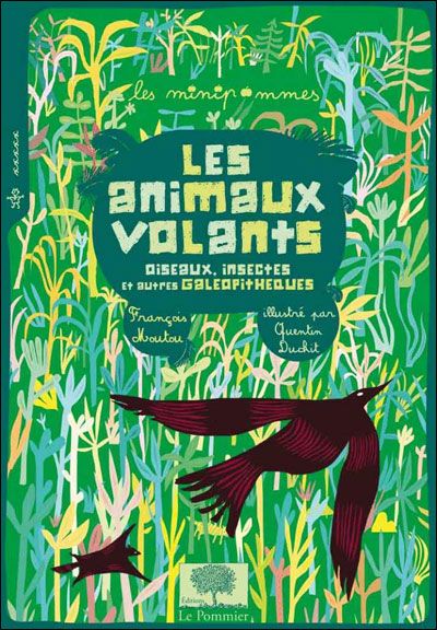 Les animaux volants Oiseaux, insectes et autres galéopithèques