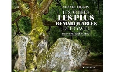 Les Arbres les plus remarquables de France