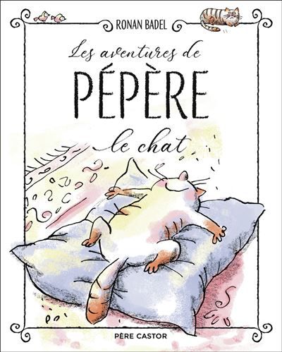 Les aventures de Pépère le Chat La maison de chat - Une famille au poil - Une vie de chat