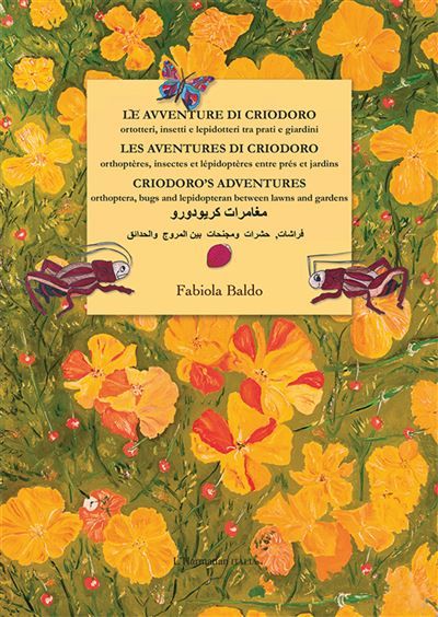 Les aventures di criodoro, Orthoptères, insectes et lépidoptères entre prés et jardins Le avventure di criodoro, Ortotteri, insetti et lepidotteri tra prati e giardini - Criodoro's adventures, Bugs and lepidopteran between lawns and gardens