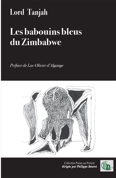 Les babouins bleus du Zimbabwe