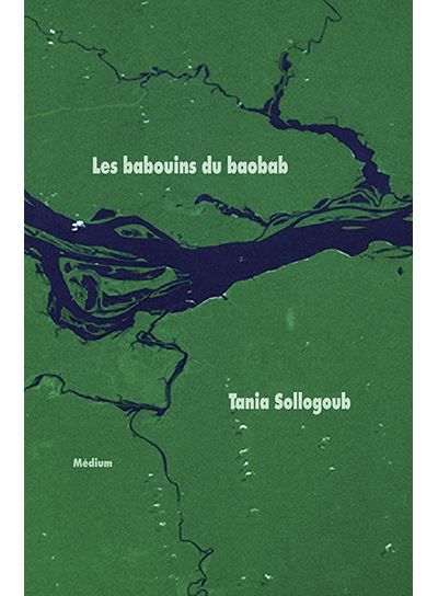 Les babouins du baobab