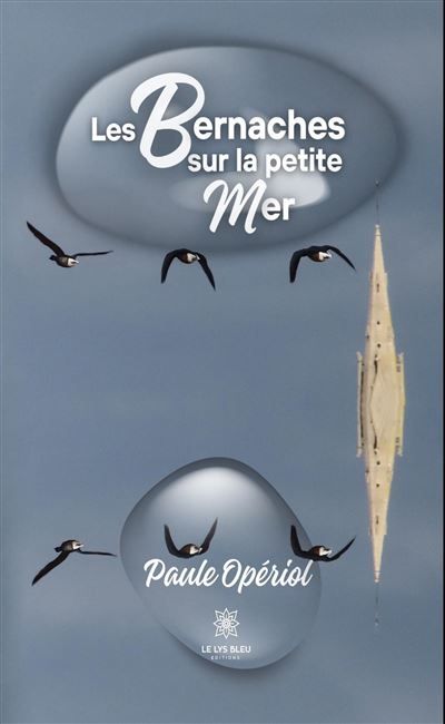 Les bernaches sur la petite mer