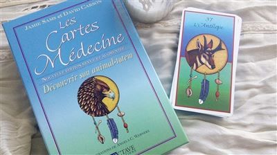 Les cartes médecine - Coffret livre + Cartes Coffret avec 1 jeu de carte et 1 livre
