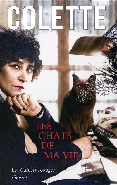 Les chats de ma vie