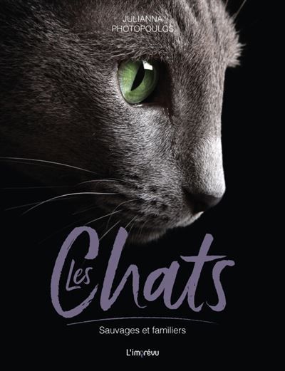 Les Chats Sauvages et familiers