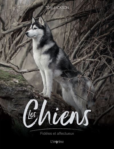 Les chiens Fidèles et courageux