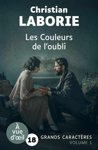 Les couleurs de l'oubli (2 volumes) Grands caractères, édition accessible pour les malvoyants