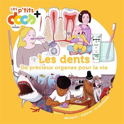 Les dents De précieux organes pour la vie