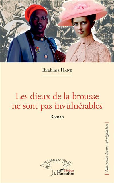 Les dieux de la brousse ne sont pas invulnérables Roman