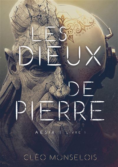 Les Dieux de Pierre Aesir - Livre 1 - Cléo Monselois - Books On Demand