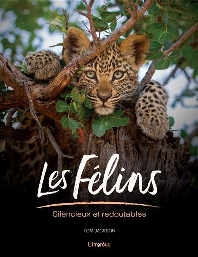 Les félins Silencieux et redoutables