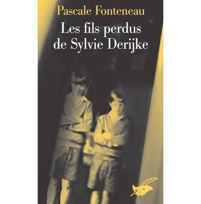 Les fils perdus de Sylvie Derikje