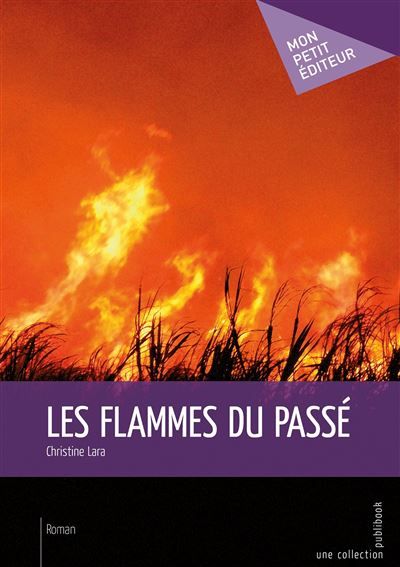 Couverture de Les flammes du passé par Christine Lara