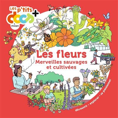 Les fleurs Merveilles sauvages et cultivées