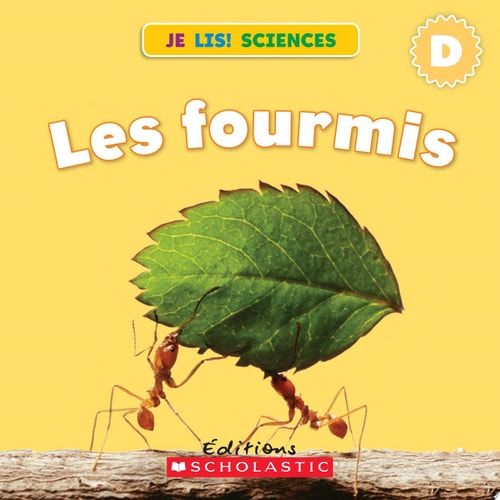 Les fourmis