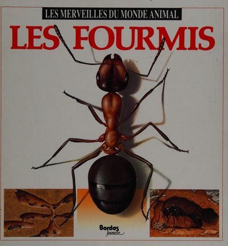 Les fourmis
