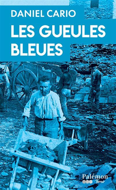 Couverture de Les Gueules Bleues par Daniel Cario