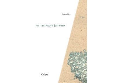 Les hannetons jumeaux Suivi de Cécités