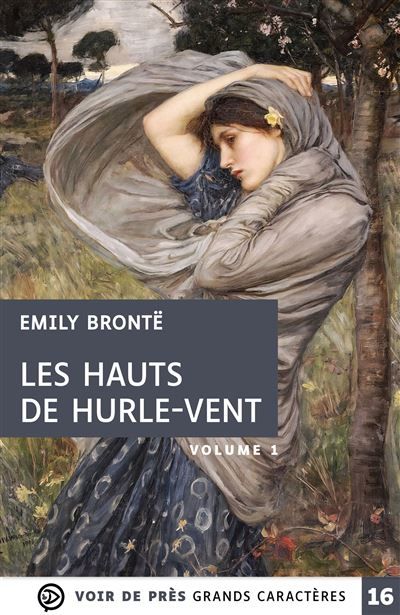 Les hauts de hurle-vent (2 volumes) Grands caractères, édition accessible pour les malvoyants
