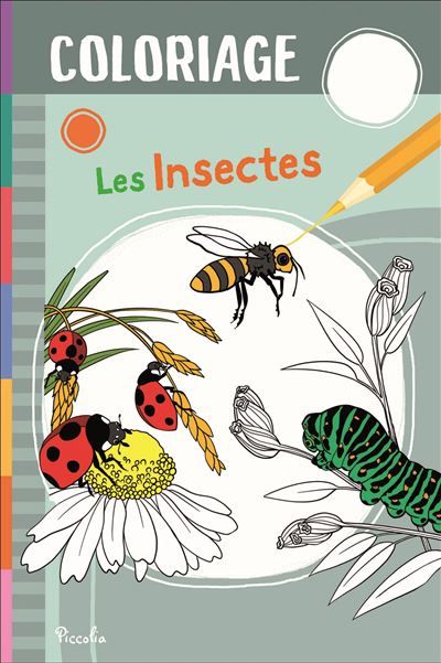 Les insectes - Coloriage