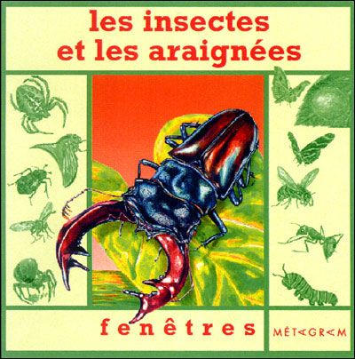 Les insectes et les araignées