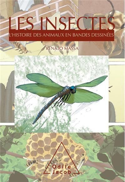Les Insectes L'Histoire des animaux en bandes dessinées