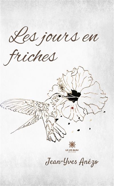 Les jours en friches