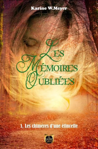Les Mémoires Oubliées Tome 1 - Les chimères d'une étincelle