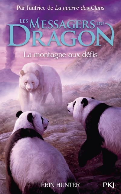 Les Messagers du Dragon - Cycle 1 - Tome 3 La montagne aux défis
